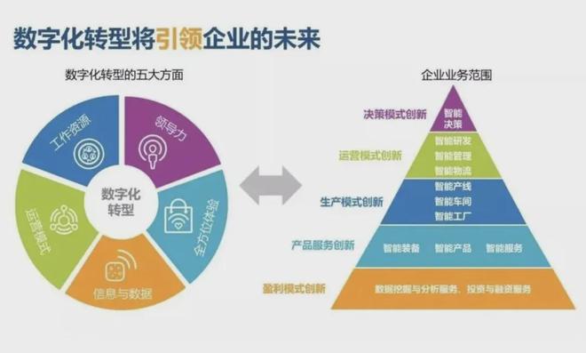 從信息服務業務看AI轉型壓力 企業多久會被淘汰？